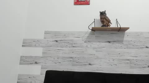 Jaycreedd online show from 09.26.25