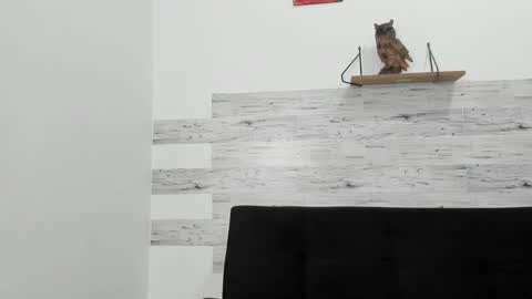 Jaycreedd online show from 10.06.25