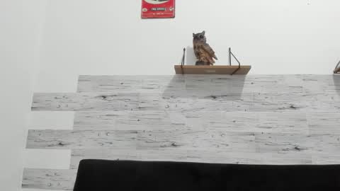 Jaycreedd online show from 01.14.26