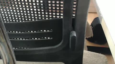 jc200000 online show from 04.16.26