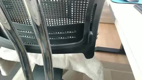 jc200000 online show from 04.21.26