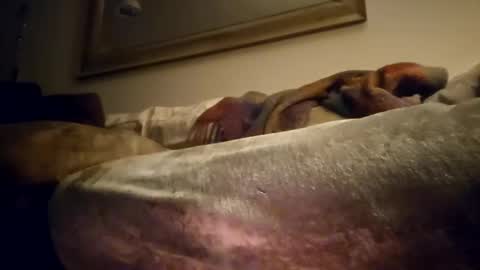 Jcramirez1975s online show from 12.21.24