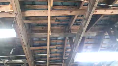 jeepcod87 online show from 04.03.26