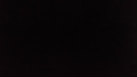 Jelly online show from 01.04.25