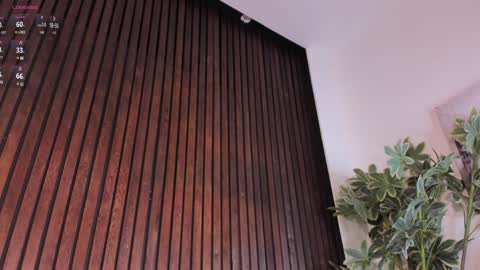     online show from 01.16.25