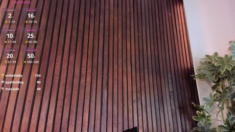     online show from 01.23.25