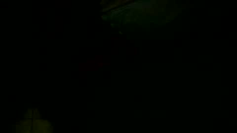 Snapshot of jessicarabbits4 chatting on 12.16.24 dovedianna online show from 12.16.24