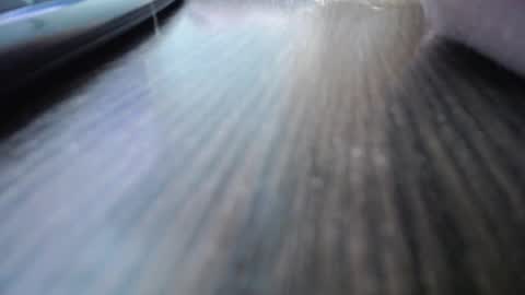 Jess online show from 12.07.24