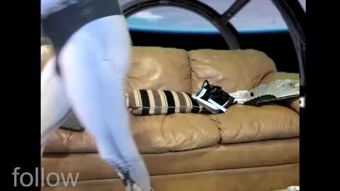 seductress Cyber Succubus online show from 10.28.25