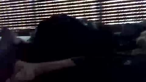 jf19861119 online show from 10.05.25