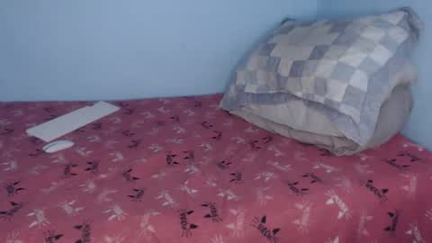 jffer_slhom online show from 02.11.26