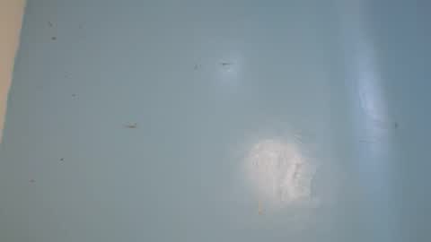 jia lisa online show from 02.14.26