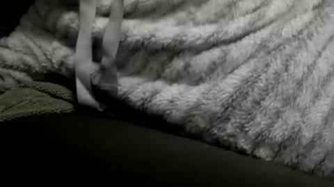 Snapshot of jimmiguel12345678 chatting on 12.25.24 jimmiguel12345678 online show from 12.25.24