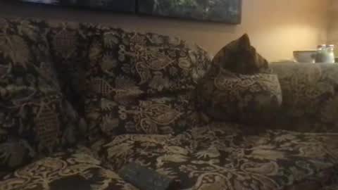 jlk7777 online show from 02.25.25