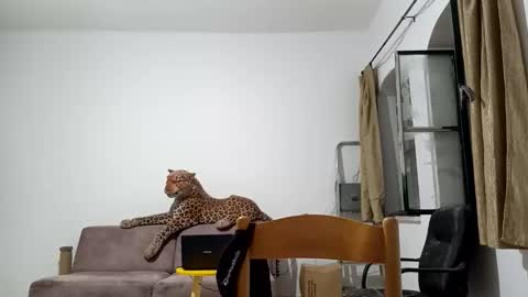 jlmbud online show from 10.20.25