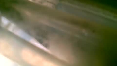 jlz2695 online show from 03.06.26