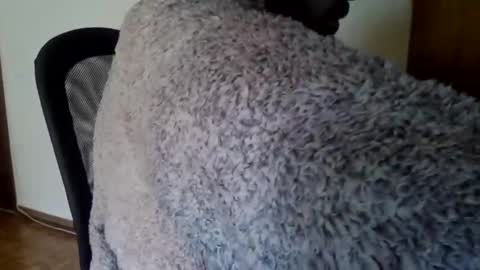 joaodias_18 online show from 12.13.24