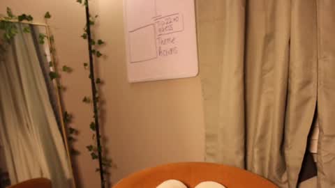 JoJo 3   online show from 10.07.25