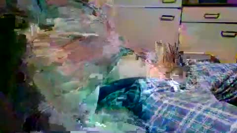 johnyboy34 online show from 01.17.26