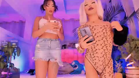 johaplate online show from 09.24.25