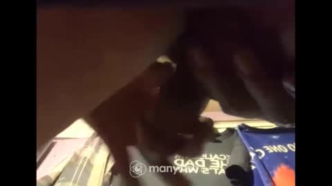 johnnyshung1 online show from 12.13.24