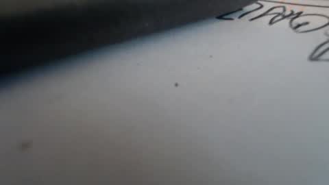 johnnyssunshine online show from 10.25.25