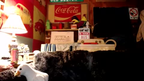 Snapshot of johstondude chatting on 07.27.26 Johston online show from 07.27.26