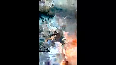 jondillinga13754352 online show from 05.19.26