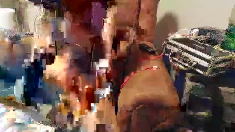 Josef online show from 01.22.25