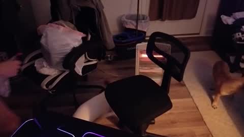 Josef online show from 03.20.26