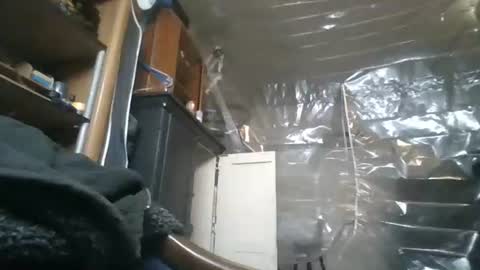 sissy josphine online show from 11.28.25