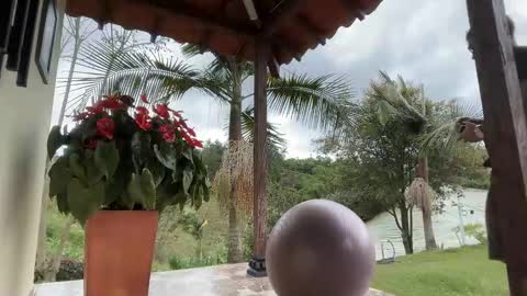 Im Jouliano online show from 11.15.25