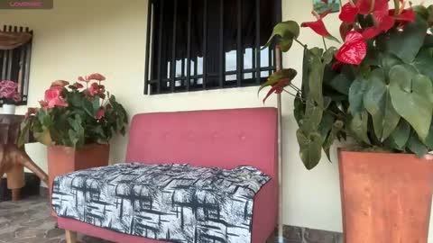 Im Jouliano online show from 02.08.26