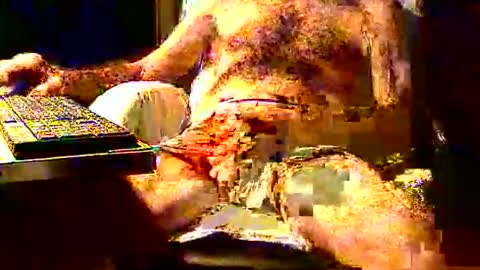 joystik4u60 online show from 11.02.25