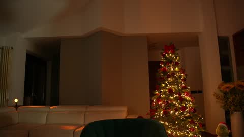 Jennifer Diaz online show from 12.13.24