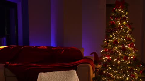 Jennifer Diaz online show from 12.21.24