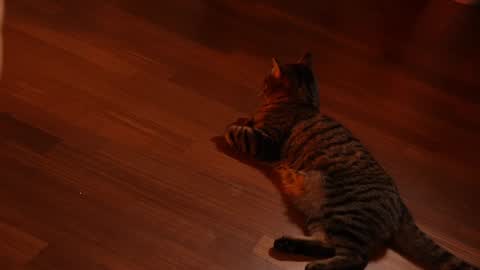 Jennifer Diaz online show from 02.03.25