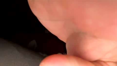 jst33456 online show from 11.30.25