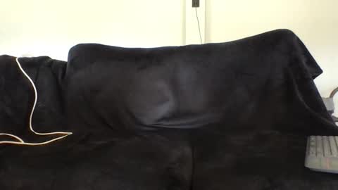 juanmamestre94 online show from 02.27.26