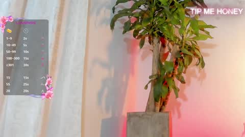 Juan Miguel online show from 02.03.25