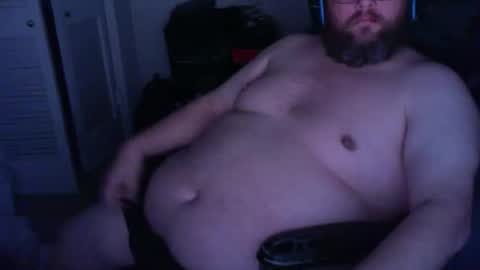 Judobear online show from 11.13.25