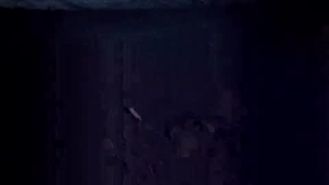 Jugg online show from 12.20.25