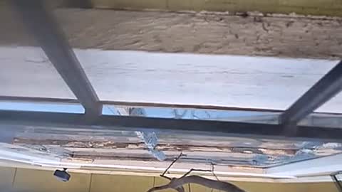 Carlos online show from 01.13.25