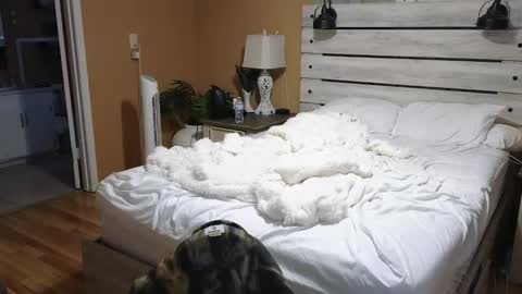 Texas Mamasita online show from 02.06.26