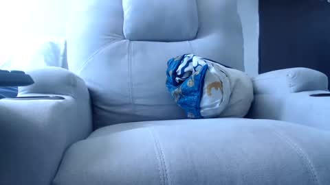 Julie bunny online show from 12.15.24