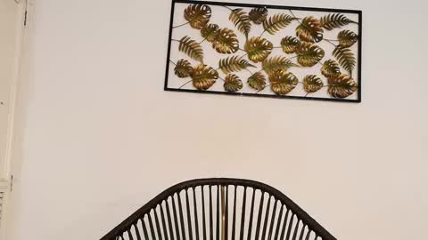 Juli online show from 10.10.25