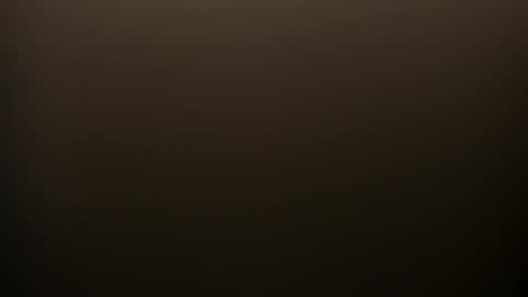     online show from 02.14.26