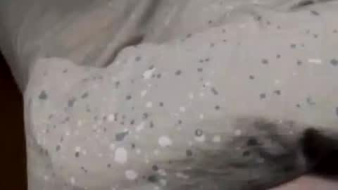 Snapshot of jumezee chatting on 01.06.25 Asian office boy online show from 01.06.25