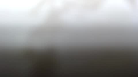Snapshot of junk_yard_dog chatting on 02.04.25 Dave online show from 02.04.25