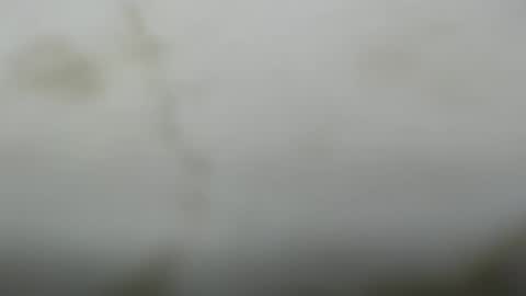 Snapshot of junk_yard_dog chatting on 03.10.26 Dave online show from 03.10.26